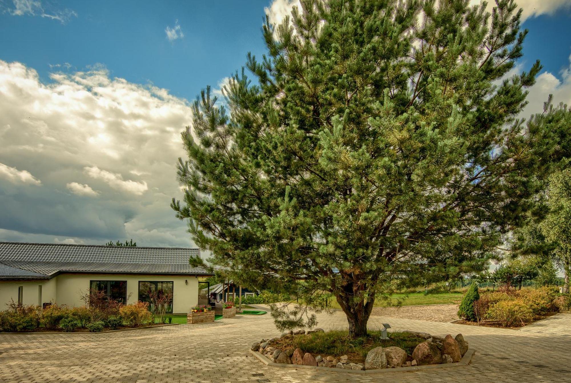 Hotel Pajda Mazur - Osrodek Wypoczynkowy Stare Jabłonki Exterior foto